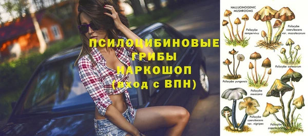 гидропоника Балабаново