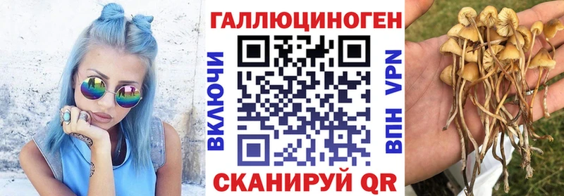 Псилоцибиновые грибы Cubensis  даркнет сайт  Балабаново 